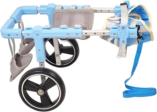 Pet Wheelchair (Medium) Blue