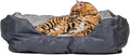 Pet Bed 20240316 M1