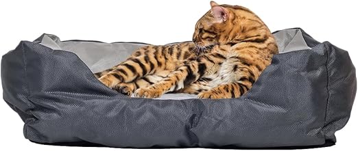 Pet Bed 20240316 M1