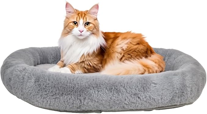 Pet Bed 20240316 M2
