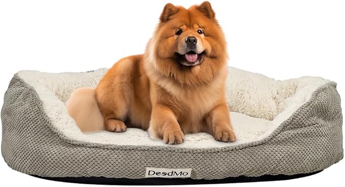 Pet Bed 20240316 M5