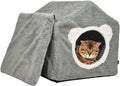 Pet Bed 20240316 M6