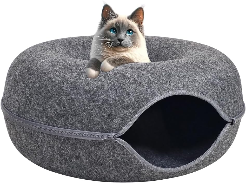 Cat Tunnel