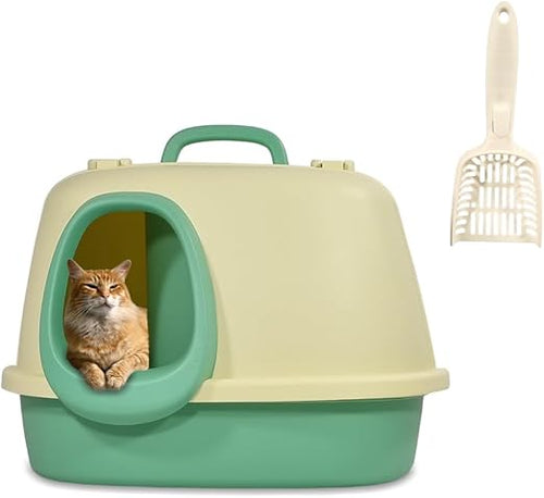Cat Litter Box (Green) Corridor