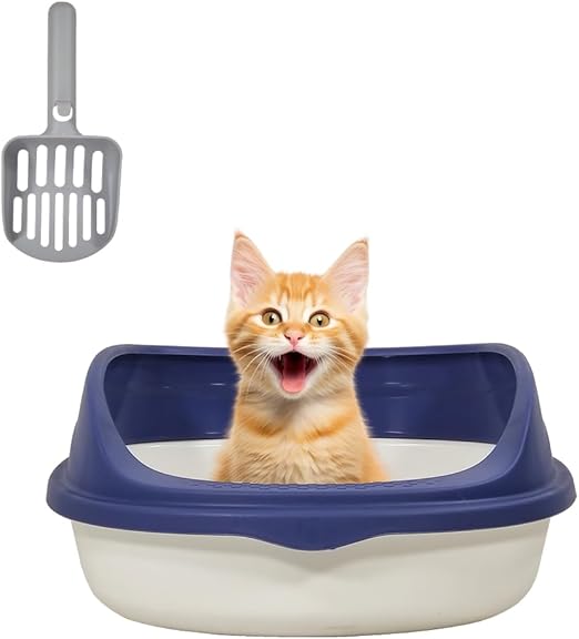 Cat Toilet 2024FEB M2 Medium White
