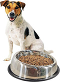 Dog Bowl (Large) M4