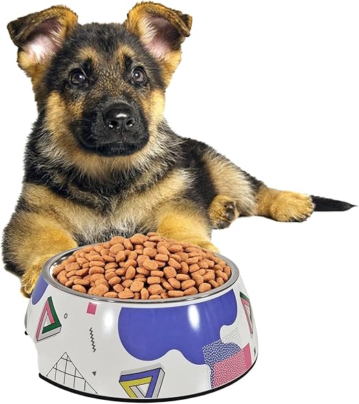 Dog Bowl M23 (Medium)