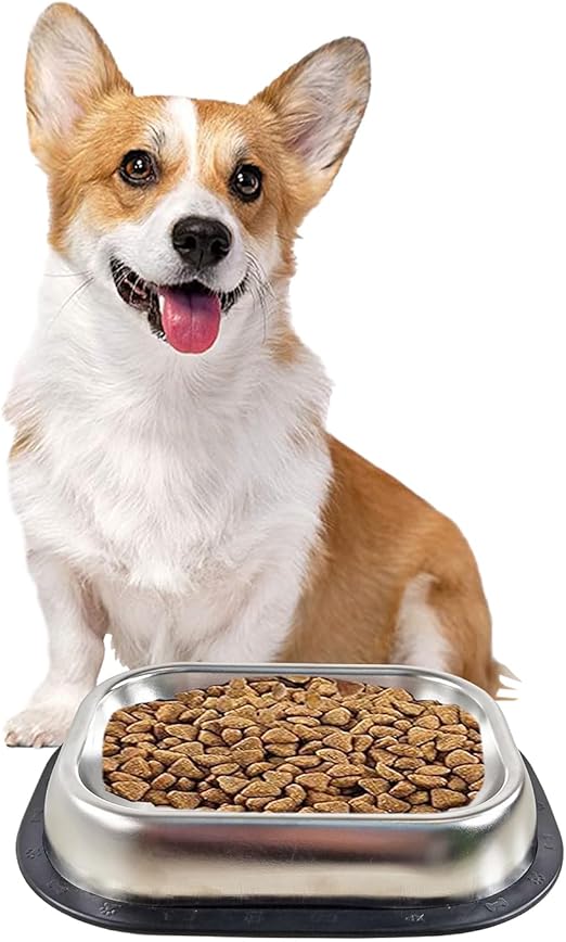 Dog Bowl (Medium) M6