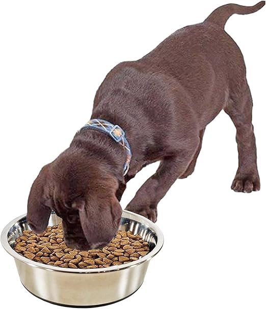 Dog Bowl (Medium) M7