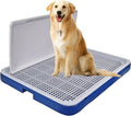 Dog Toilet M3 (Large, Blue)
