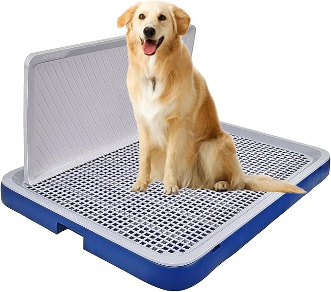 Dog Toilet M3 (Large, Blue)