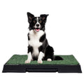 Dog Toilet M7 (Green)