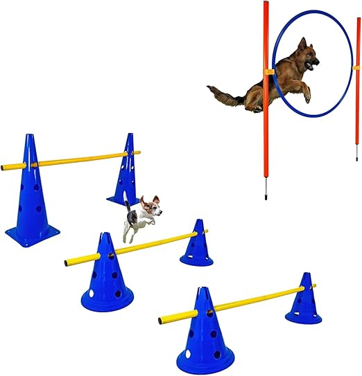 Dog Agility Course Equipment Set