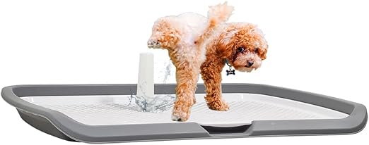Dog Toilet 2024Feb M10 (Large, Grey)
