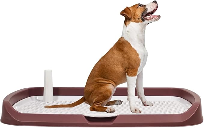 Dog Toilet 2024Feb M11 (Chocolate)