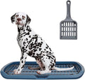 Dog Toilet 2024Feb M2 (Blue)