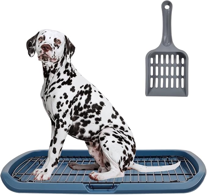 Dog Toilet 2024Feb M2 (Blue)