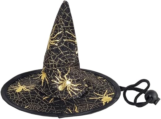 Pet Halloween Hat