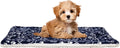 Pet Blanket 5222024 (Large)