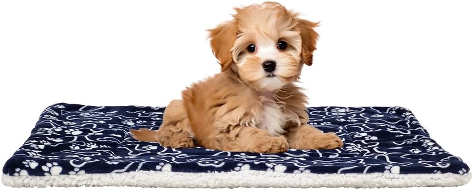 Pet Blanket 5222024 (Large)