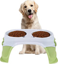Pet Feeder (Green) M31