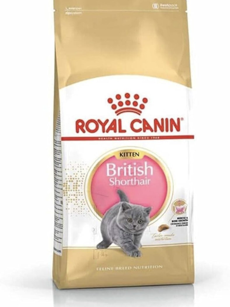 Royal Canin British Shorthair Kitten Dry Cat Food