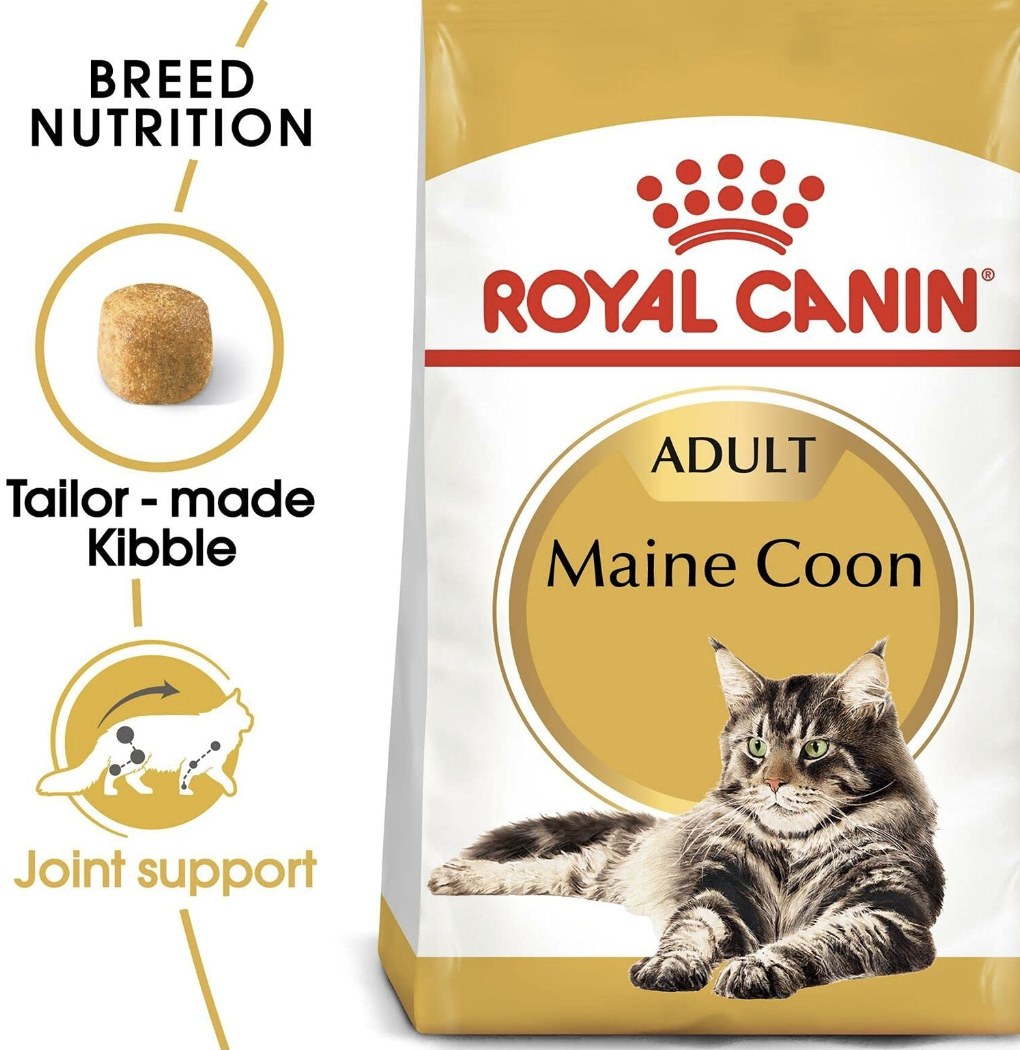 Royal Canin Maine Coon Adult Dry Cat Food