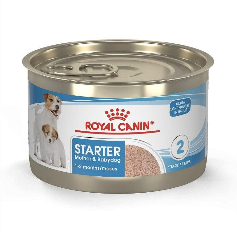 Royal Canin Starter Mousse Mother & Babydog (Wet 195g)