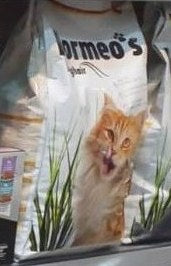 Formeo's Hairball Cat Food